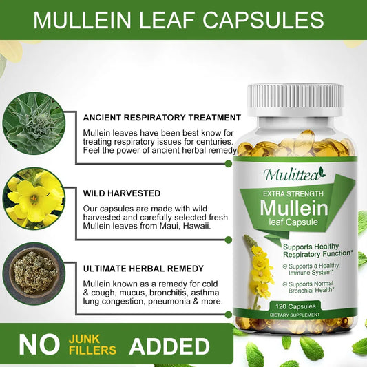 Leaf Capsules Herbal Supplement